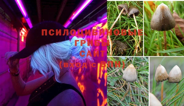 ГАЛЛЮЦИНОГЕННЫЕ ГРИБЫ Баксан