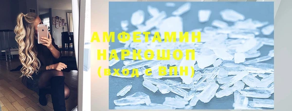 шишки Арсеньев