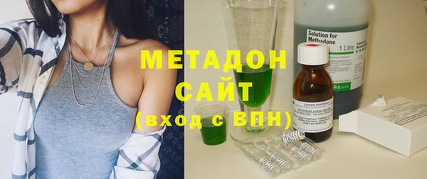 шишки Арсеньев