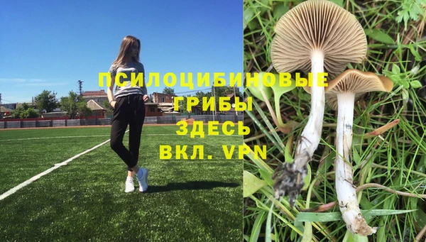 альфа пвп Армянск