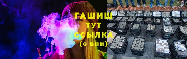 шишки Арсеньев