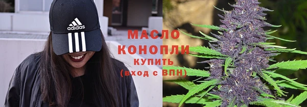 шишки Арсеньев
