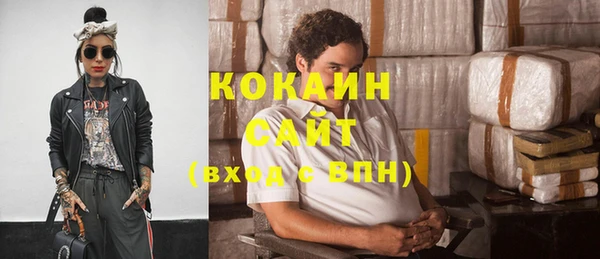 шишки Арсеньев