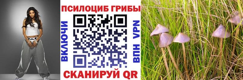 Псилоцибиновые грибы MAGIC MUSHROOMS  где найти   Обоянь 